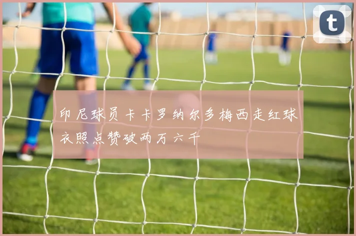 印尼球员卡卡罗纳尔多梅西走红球衣照点赞破两万六千